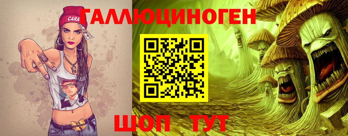 купить  сайты  Галлюциногенные грибы Psilocybine cubensis  Вход с VPN  Видное  Псилоцибиновые грибы прущие грибы 